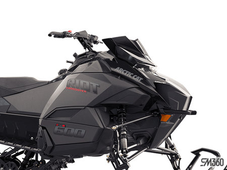 Arctic Cat RIOT 600 2025 - photo 1