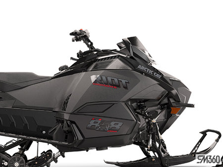 Arctic Cat RIOT Riot 858 2025 - photo 4