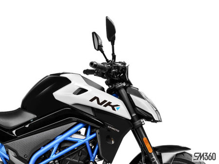 CFMOTO 300NK Base 300NK 2025 - photo 4