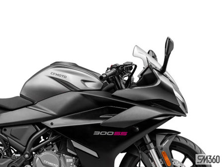 CFMOTO 300SS Base 300SS 2025 - photo 4