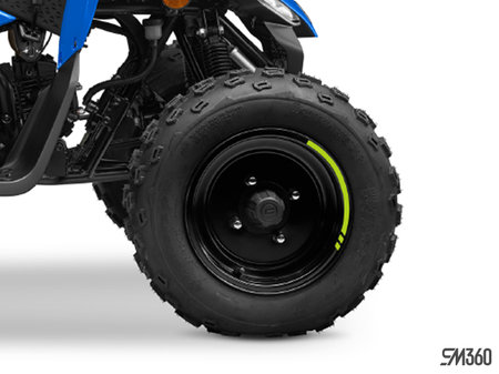 CFMOTO CFORCE 110 Base CFORCE 110  2025 - photo 3