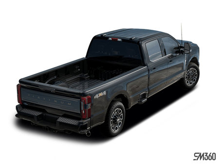 Ford Super Duty F-250 Platinum 2025 - photo 4