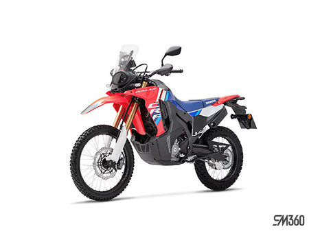 Honda CRF300L ABS Rally 2025 - photo 4