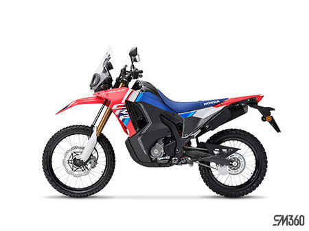 Honda CRF300L ABS Rally 2025 - photo 2