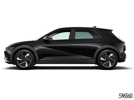 Hyundai IONIQ 5 Preferred RWD Standard Range 2025 - photo 1