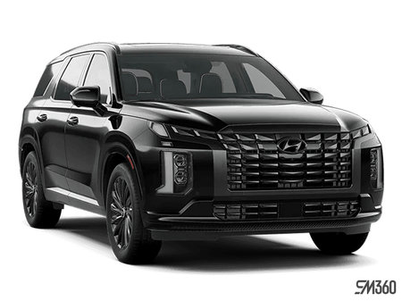 Hyundai Palisade Ultimate Calligraphy Night 2025 - photo 4