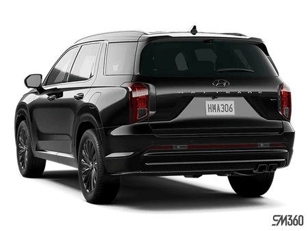 Hyundai Palisade Ultimate Calligraphy Night 2025 - photo 2