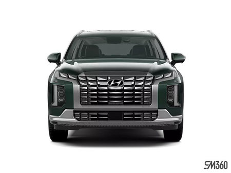 Hyundai Palisade Ultimate Calligraphy 2025 - photo 3