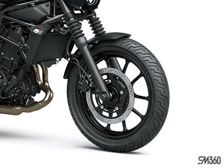 Kawasaki ELIMINATOR 500 SE BASE ELIMINATOR 500 SE 2025 - photo 1