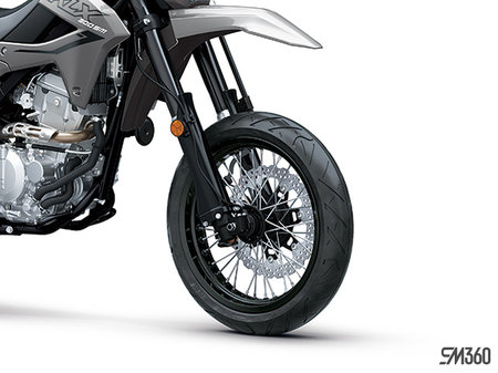 Kawasaki KLX300SM BASE KLX300SM 2025 - photo 1