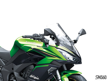 Kawasaki NINJA 1100SX SE BASE NINJA 1100SX SE 2025 - photo 2