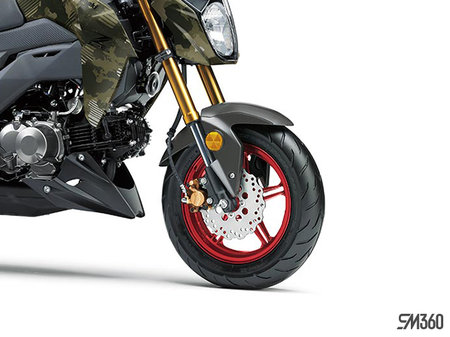 Kawasaki Z125 PRO BASE Z125 PRO 2025 - photo 1