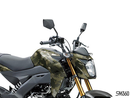 Kawasaki Z125 PRO BASE Z125 PRO 2025 - photo 2