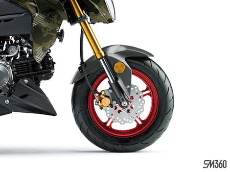 Kawasaki Z125 PRO BASE Z125 PRO 2025 - photo 4