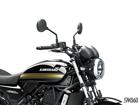 Kawasaki Z650RS BASE Z650RS 2025 - photo 2