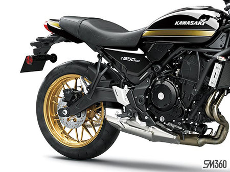 Kawasaki Z650RS BASE Z650RS 2025 - photo 3