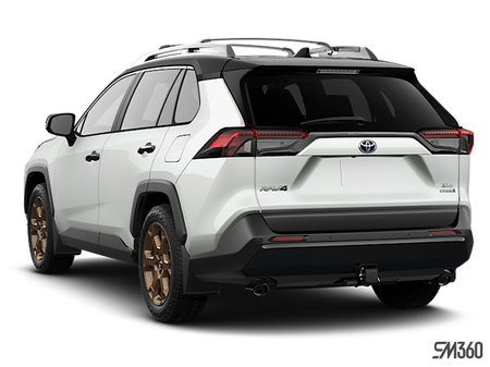 Toyota RAV4 Hybrid Woodland 2025 - photo 1