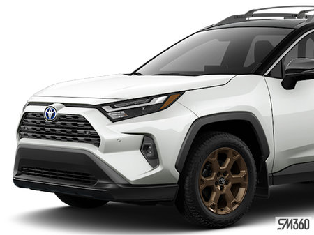 Toyota RAV4 Hybrid Woodland 2025 - photo 3