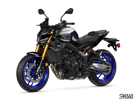 Yamaha MT-09 SP BASE MT-09 SP 2025 - photo 1