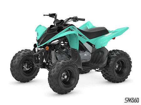 Yamaha RAPTOR 110 BASE RAPTOR 110 2025 - photo 1