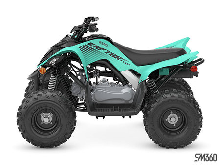 Yamaha RAPTOR 110 BASE RAPTOR 110 2025 - photo 2