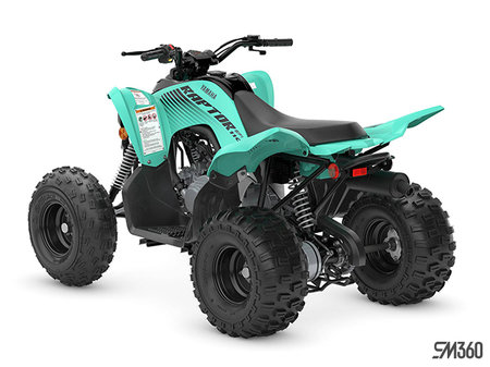 Yamaha RAPTOR 110 BASE RAPTOR 110 2025 - photo 3