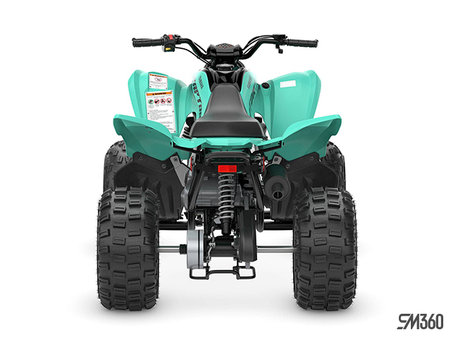 Yamaha RAPTOR 110 BASE RAPTOR 110 2025 - photo 4