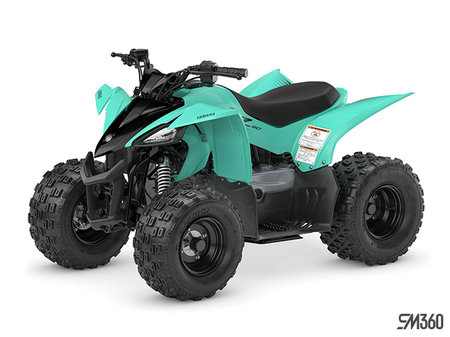 Yamaha YFZ50 BASE YFZ50 2025 - photo 1