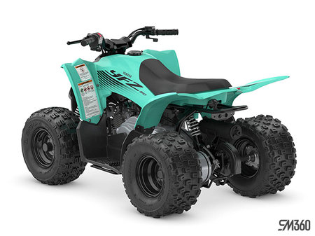 Yamaha YFZ50 BASE YFZ50 2025 - photo 3