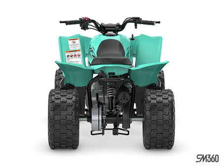 Yamaha YFZ50 BASE YFZ50 2025 - photo 4
