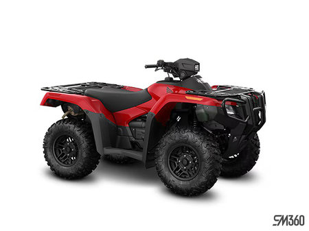 Honda Rubicon 700 Manual Shift 2026 - photo 4