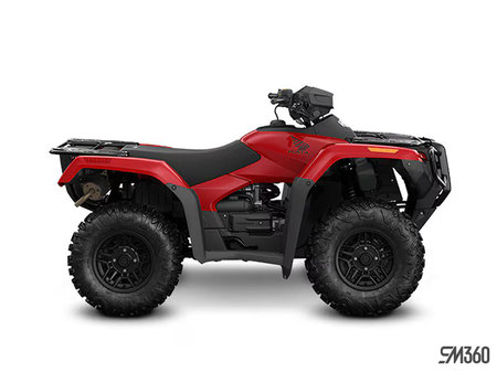 Honda Rubicon 700 Manual Shift 2026 - photo 2