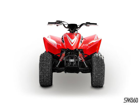 Honda TRX90X Manual Shift 2026 - photo 4