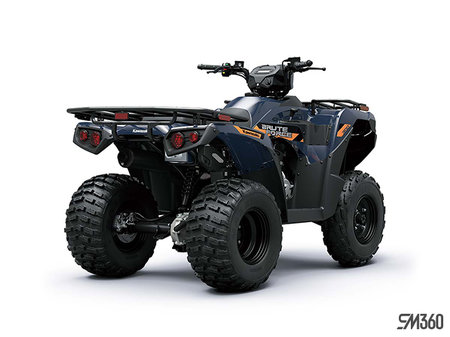 Kawasaki BRUTE FORCE 300 BASE BRUTE FORCE 300 2026 - photo 2