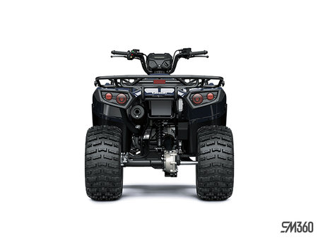 Kawasaki BRUTE FORCE 300 BASE BRUTE FORCE 300 2026 - photo 3