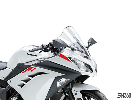 Kawasaki NINJA 300 BASE NINJA 300 2026 - photo 2