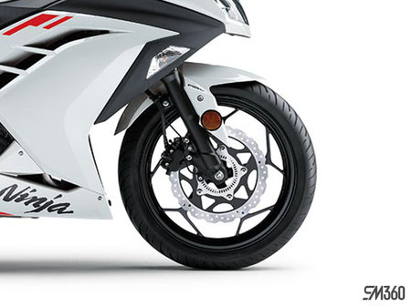 Kawasaki NINJA 300 BASE NINJA 300 2026 - photo 4