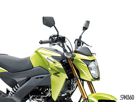 Kawasaki Z125 PRO BASE Z125 PRO 2026 - photo 2