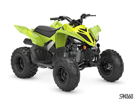 Yamaha RAPTOR 110 BASE RAPTOR 110 2026 - photo 1