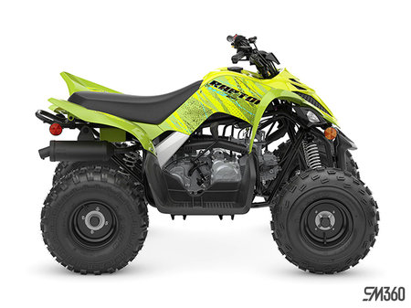 Yamaha RAPTOR 110 BASE RAPTOR 110 2026 - photo 2