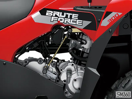 Kawasaki BRUTE FORCE 300 BASE BRUTE FORCE 300 2027 - photo 4