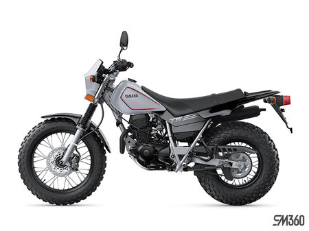 Yamaha TW200 BASE TW200 2027 - photo 2