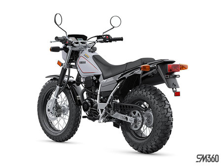 Yamaha TW200 BASE TW200 2027 - photo 3