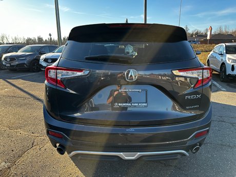 2019 Acura RDX Platinum Elite in Thunder Bay, Ontario - 3 - w460h350px