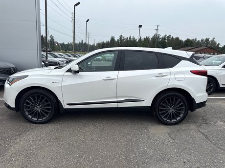 2023 Acura RDX Platinum Elite A-Spec in Thunder Bay, Ontario - 2 - w460h350px
