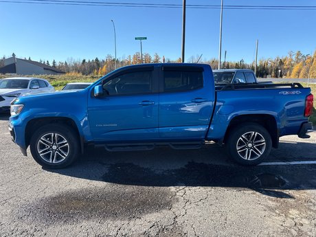 2021 Chevrolet Colorado 4WD Work Truck in Thunder Bay, Ontario - 2 - w460h350px