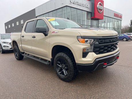 2022 Chevrolet Silverado SILVERADO C1500