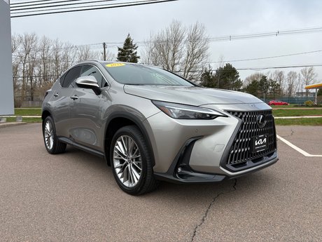 2022 Lexus NX350 AWD