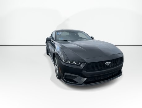 2024 Ford MUSTANG ECOBOOST | Cam | USB | Warranty to 2029