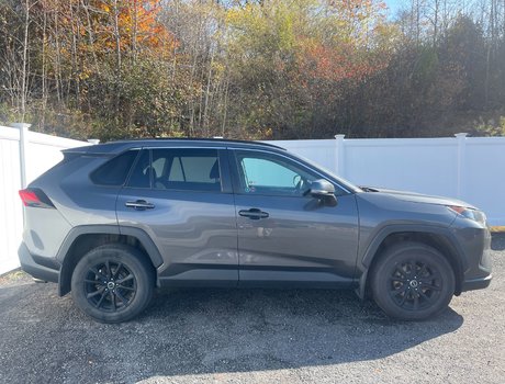 2019 Toyota RAV4 LE |Cam | USB